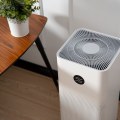 Are Whole House HEPA Filters Worth It?