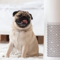 Do HEPA Air Filters Remove Coronavirus?