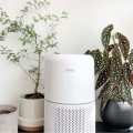 Is it Worth Buying an Air Purifier?